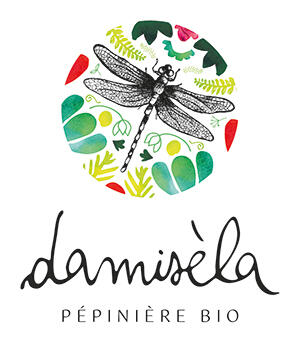 Pépinière Damisèla